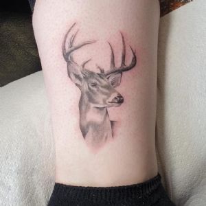 View Stag micro-realism by Nathan Green