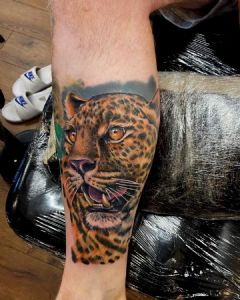 View Colour Leopard by Tom Wood